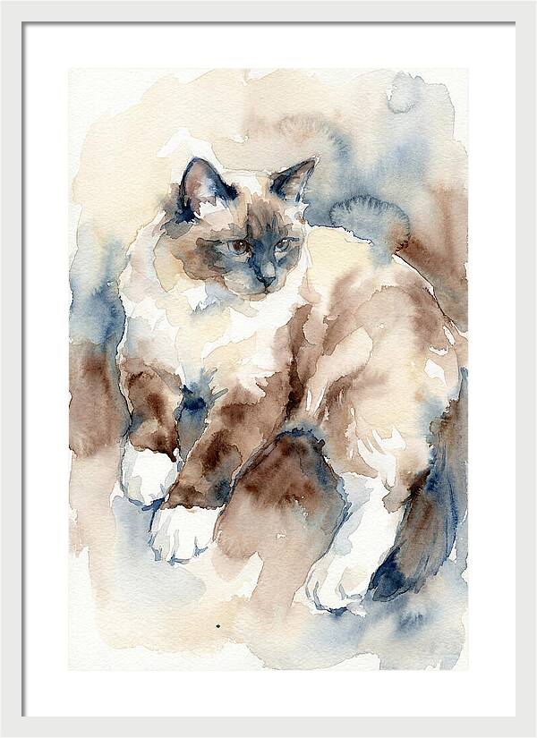 Birman Cat Watercolor Portrait