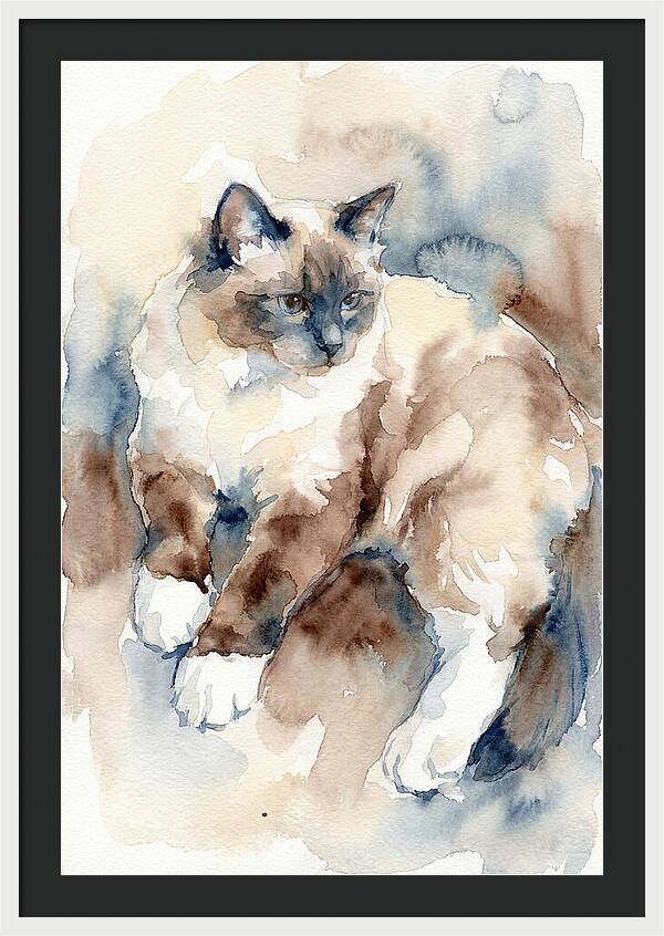 Birman Cat Watercolor Portrait