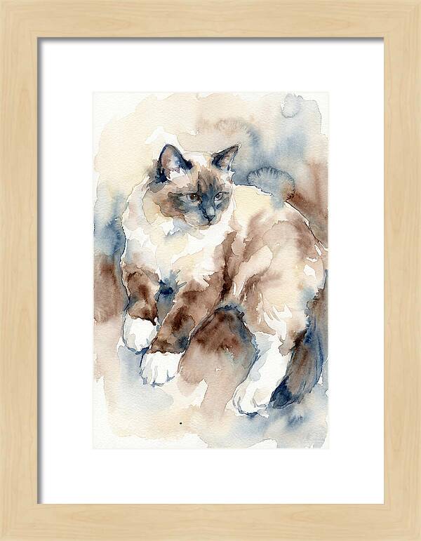 Birman Cat Watercolor Portrait