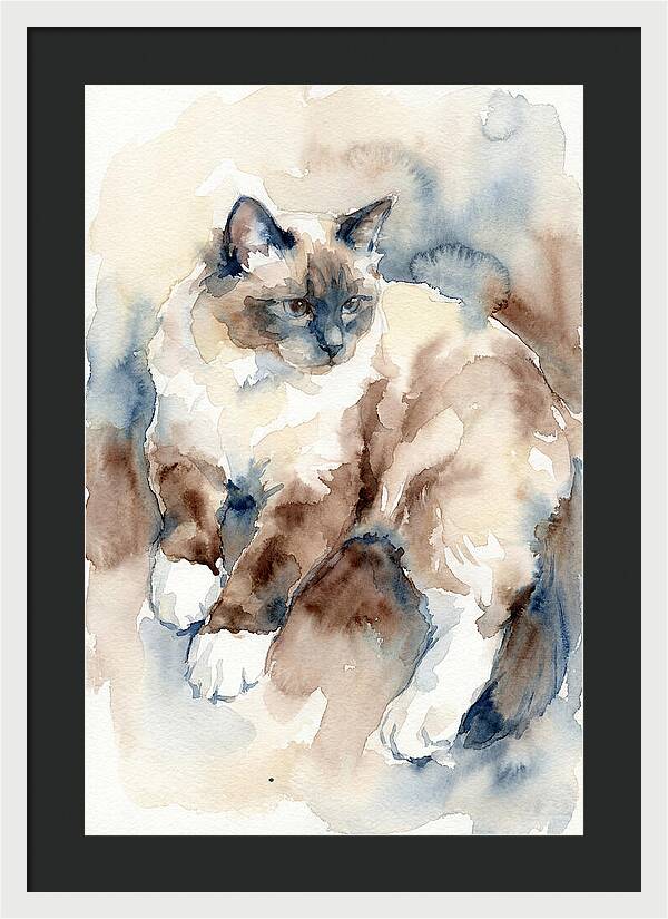 Birman Cat Watercolor Portrait