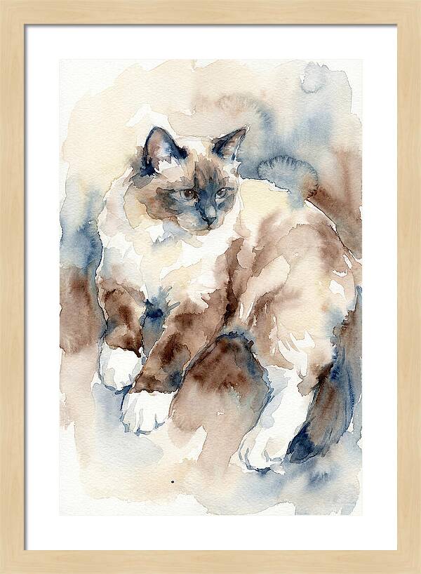Birman Cat Watercolor Portrait