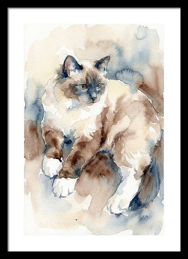Birman Cat Watercolor Portrait