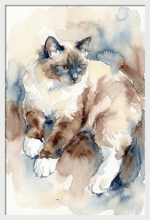 Birman Cat Watercolor Portrait