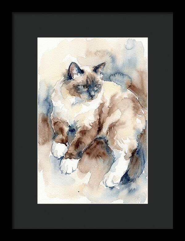 Birman Cat Watercolor Portrait