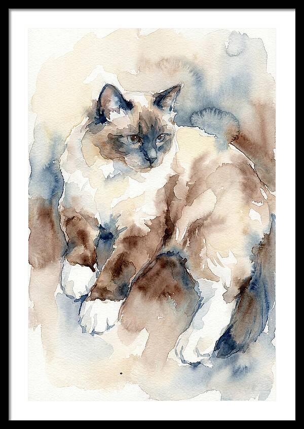 Birman Cat Watercolor Portrait