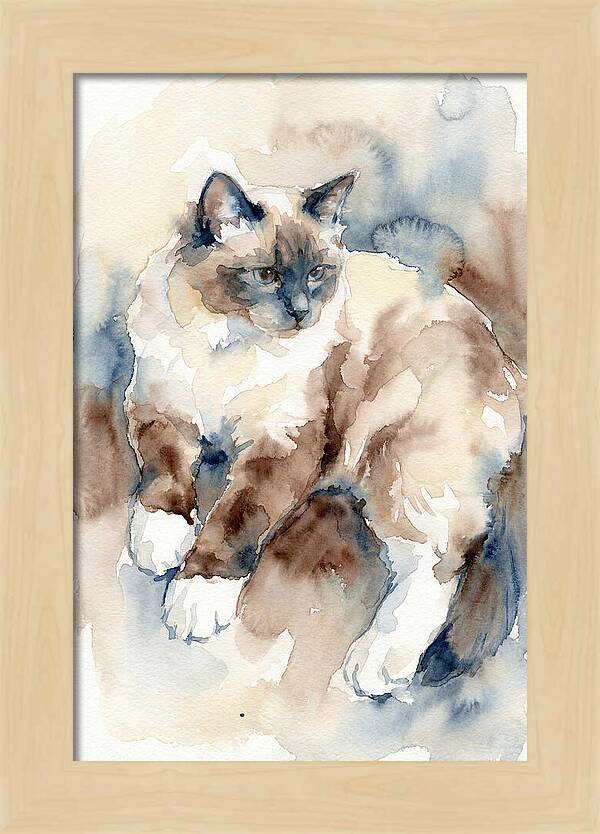 Birman Cat Watercolor Portrait