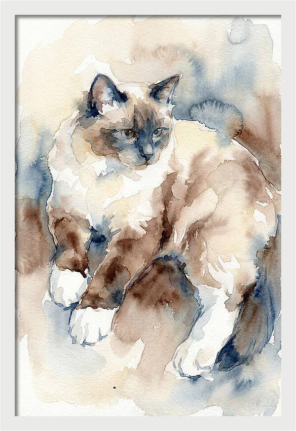 Birman Cat Watercolor Portrait