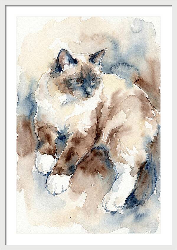 Birman Cat Watercolor Portrait