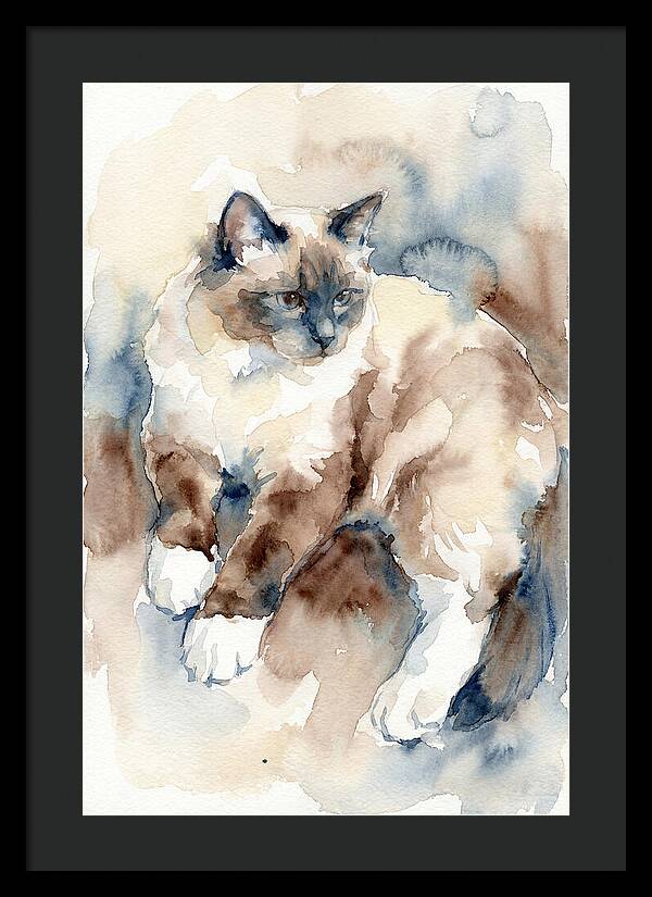 Birman Cat Watercolor Portrait
