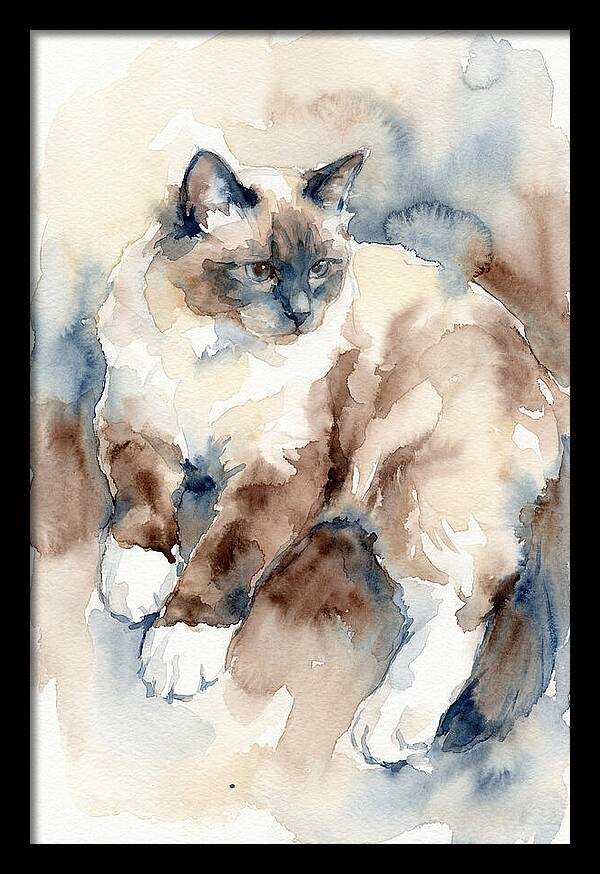 Birman Cat Watercolor Portrait
