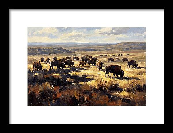 Bison Herd Grazing On Prairie