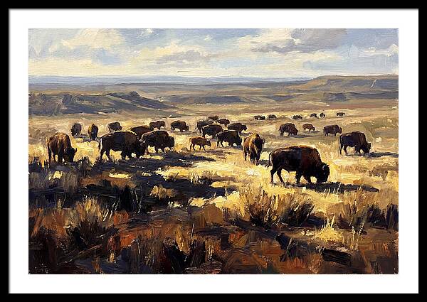 Bison Herd Grazing On Prairie