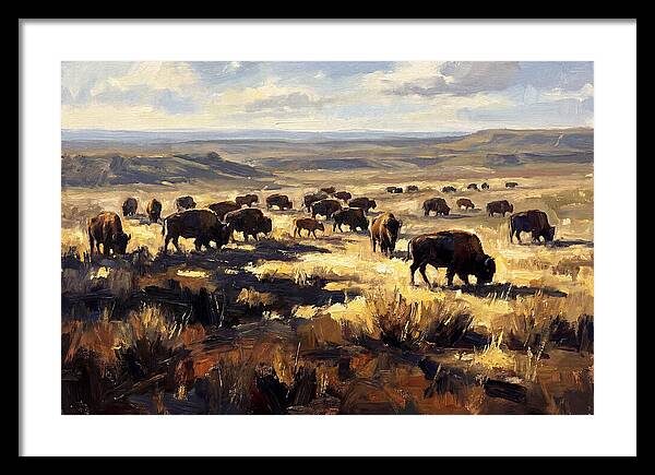 Bison Herd Grazing On Prairie