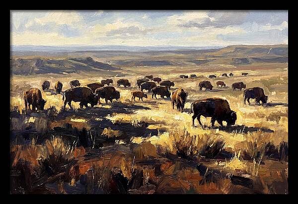 Bison Herd Grazing On Prairie