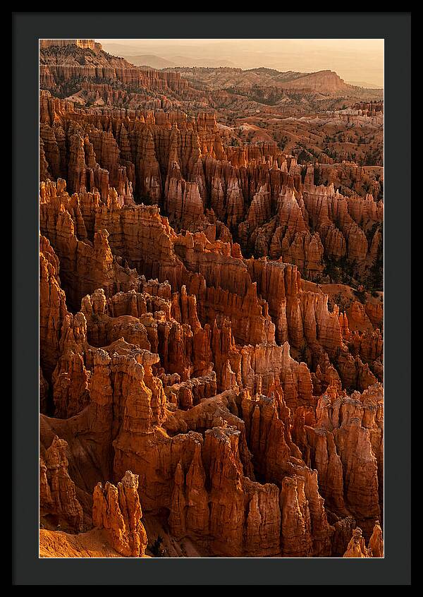 Bisti Badlands Hoodoo Formations