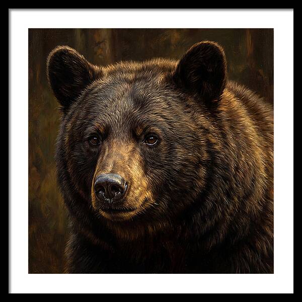 Black Bear Portrait
