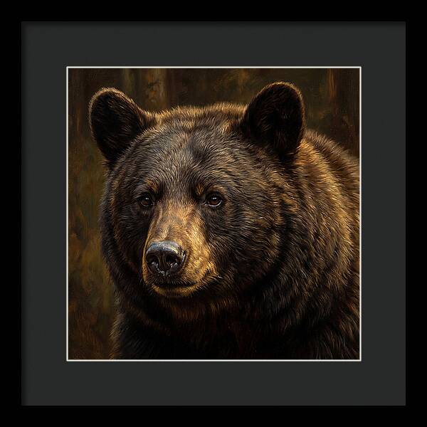 Black Bear Portrait