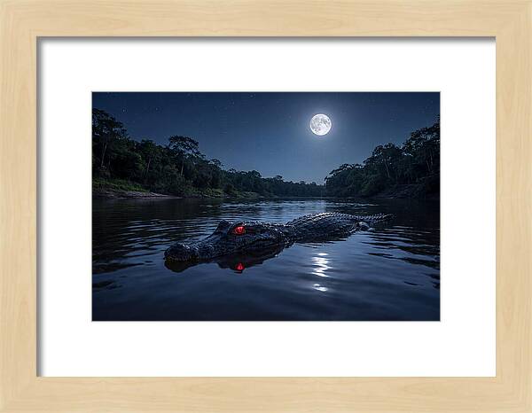 Black Caiman Under Moonlight