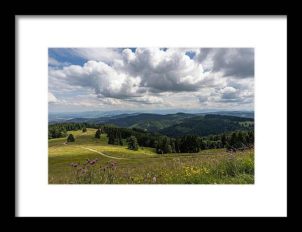 Black Forest Serenity From Feldberg Summit