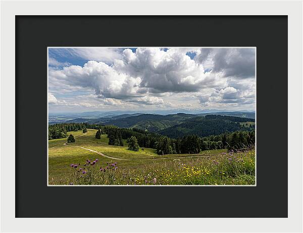 Black Forest Serenity From Feldberg Summit