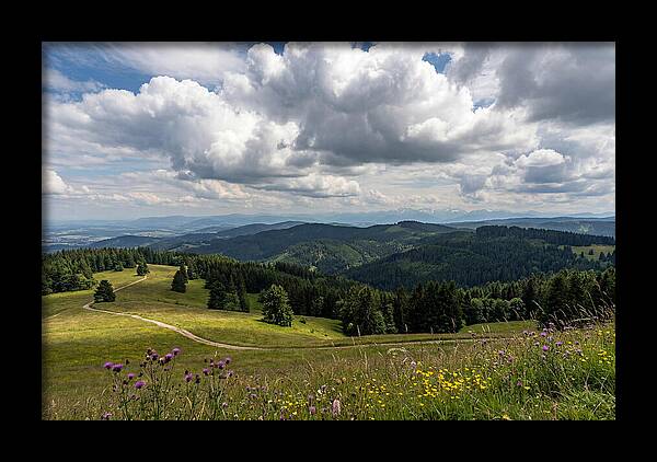 Black Forest Serenity From Feldberg Summit