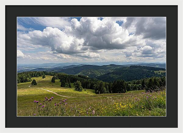 Black Forest Serenity From Feldberg Summit