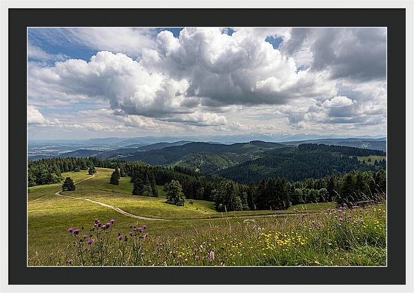 Black Forest Serenity From Feldberg Summit