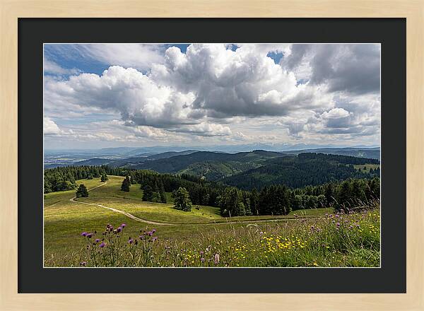 Black Forest Serenity From Feldberg Summit