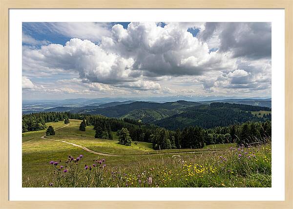 Black Forest Serenity From Feldberg Summit