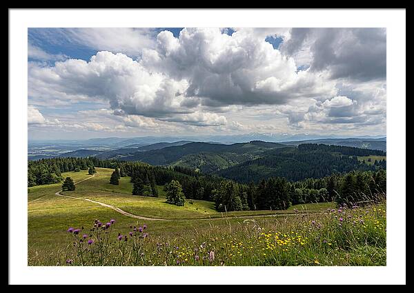 Black Forest Serenity From Feldberg Summit