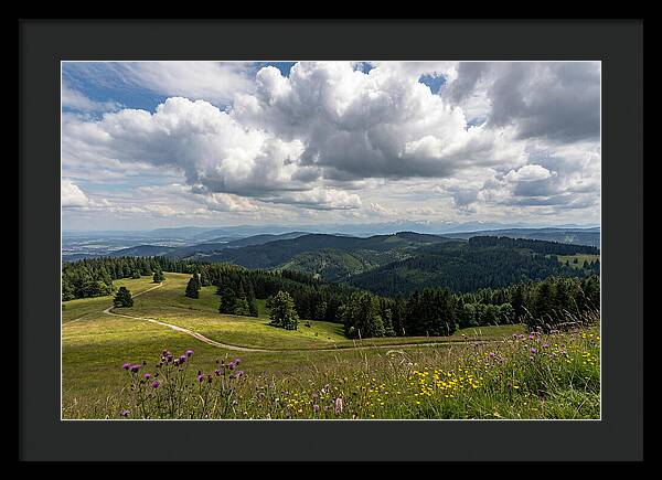Black Forest Serenity From Feldberg Summit