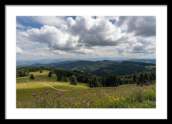 Black Forest Serenity From Feldberg Summit