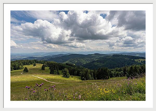 Black Forest Serenity From Feldberg Summit