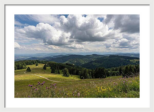 Black Forest Serenity From Feldberg Summit