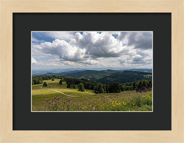 Black Forest Serenity From Feldberg Summit