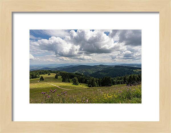 Black Forest Serenity From Feldberg Summit