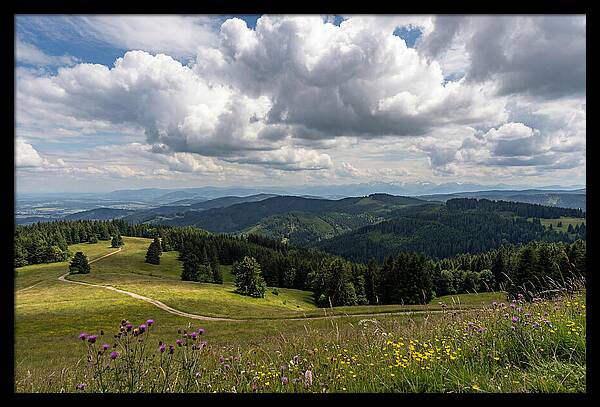 Black Forest Serenity From Feldberg Summit