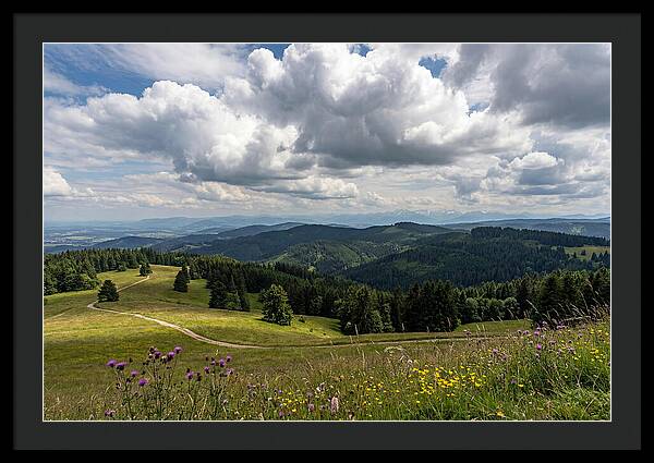 Black Forest Serenity From Feldberg Summit