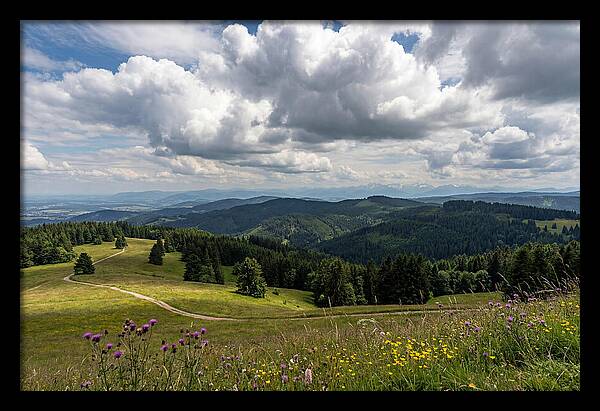 Black Forest Serenity From Feldberg Summit
