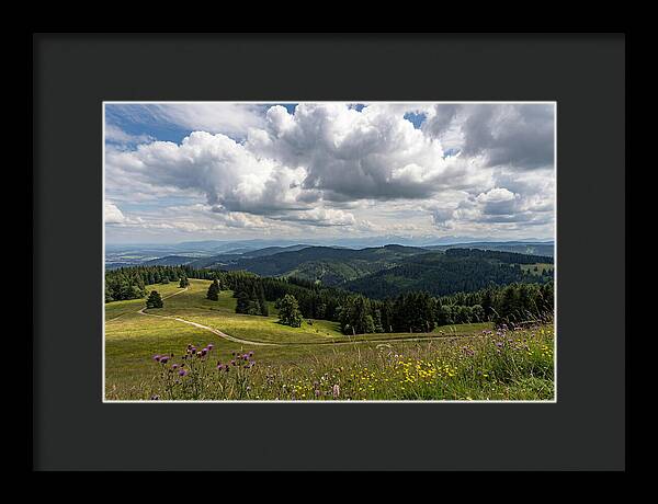 Black Forest Serenity From Feldberg Summit