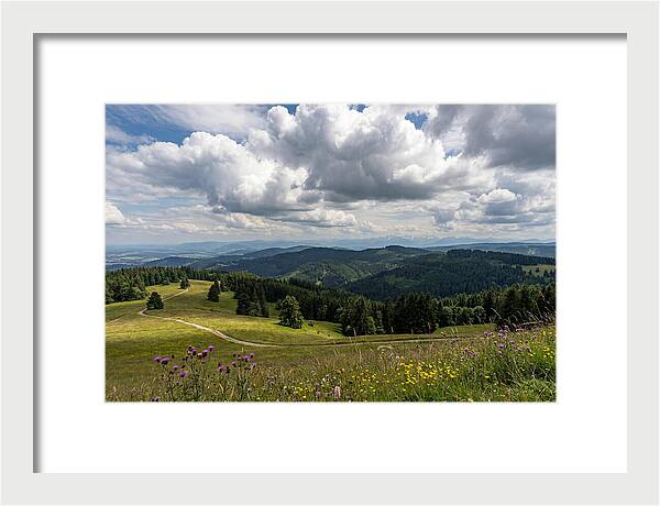 Black Forest Serenity From Feldberg Summit