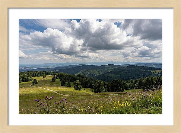 Black Forest Serenity From Feldberg Summit