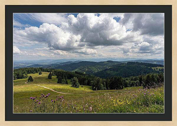 Black Forest Serenity From Feldberg Summit