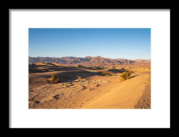 Black Rock Desert Vista