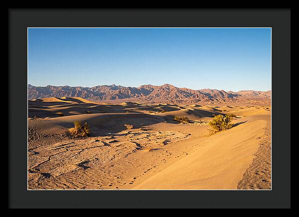 Black Rock Desert Vista