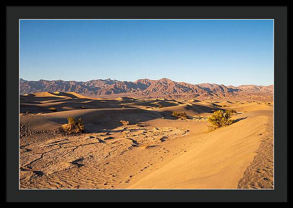 Black Rock Desert Vista