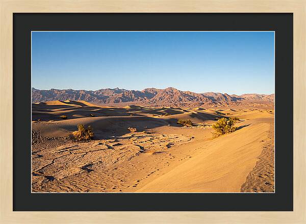 Black Rock Desert Vista