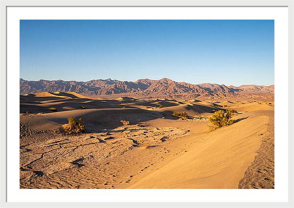 Black Rock Desert Vista