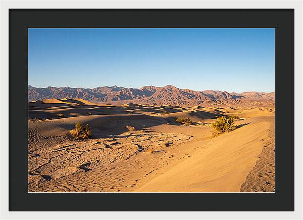 Black Rock Desert Vista