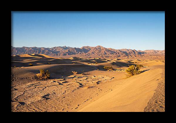 Black Rock Desert Vista